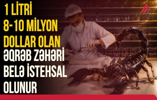 Naxçıvanda əqrəb ferması fəaliyyət göstərir
                                                