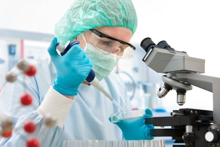 37 people die due to bird flu in Iran
