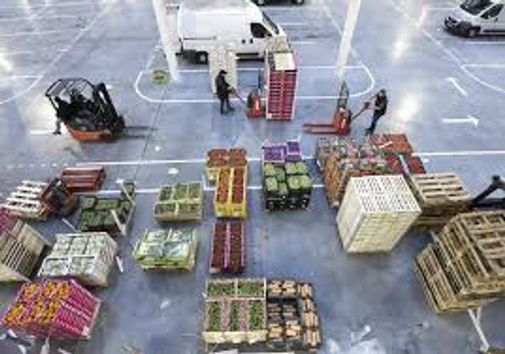 Global food prices hit 26-month high in November