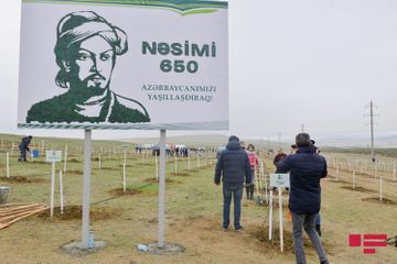 APA Group attends tree planting campaign on the occasion of 650th anniversary of Nasimi