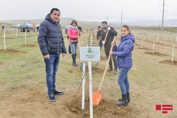 APA Group attends tree planting campaign on the occasion of 650th anniversary of Nasimi
