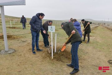 APA Group attends tree planting campaign on the occasion of 650th anniversary of Nasimi