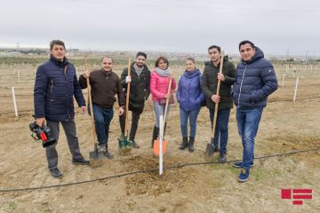 APA Group attends tree planting campaign on the occasion of 650th anniversary of Nasimi