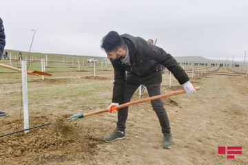 APA Group attends tree planting campaign on the occasion of 650th anniversary of Nasimi