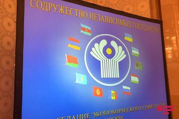CIS Economic Council meeting held in Moscow - PHOTO