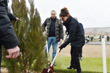 President Ilham Aliyev and first lady Mehriban Aliyeva attended tree-planting campaign in Shamakhi district