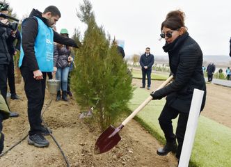 President Ilham Aliyev and first lady Mehriban Aliyeva attended tree-planting campaign in Shamakhi district