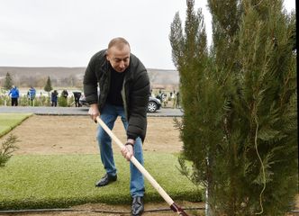 President Ilham Aliyev and first lady Mehriban Aliyeva attended tree-planting campaign in Shamakhi district
