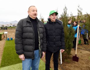 President Ilham Aliyev and first lady Mehriban Aliyeva attended tree-planting campaign in Shamakhi district
