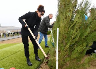 President Ilham Aliyev and first lady Mehriban Aliyeva attended tree-planting campaign in Shamakhi district