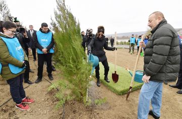 President Ilham Aliyev and first lady Mehriban Aliyeva attended tree-planting campaign in Shamakhi district