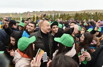 President Ilham Aliyev and first lady Mehriban Aliyeva attended tree-planting campaign in Shamakhi district