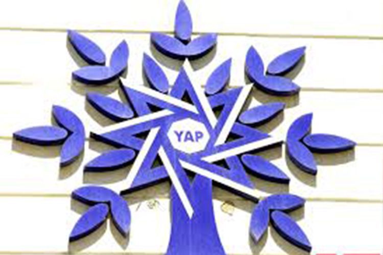 NAP adopts decision on participation in early parliamentary elections
