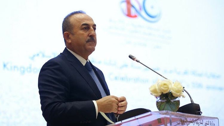 Mevlut Cavusoglu: "Senate Resolution is nothing more than a political show"