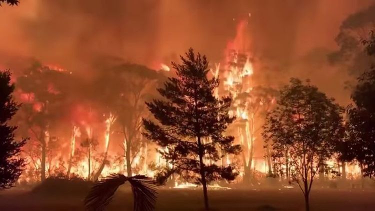 Australian state declares emergency as wildfires surround Sydney