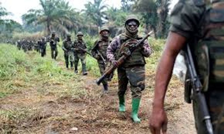 DR Congo army captures 400 Rwandan armed rebels