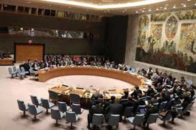 UNSC postpones voting on resolution on cross-border aid deliveries to Syria
