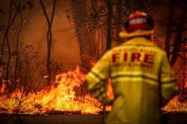 2 firefighters die, 3 hurt as wildfires ravage Australia
