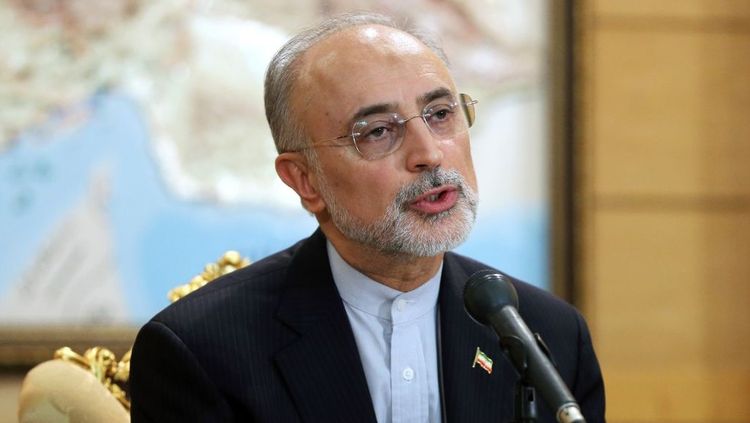 Ali Akbar Salehi: "Iranian enriched uranium stocks reach 800 kg"