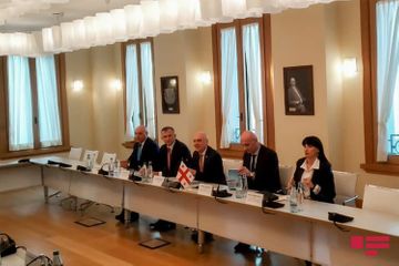 Elmar Mammadyarov meets his Georgian counterpart - PHOTO