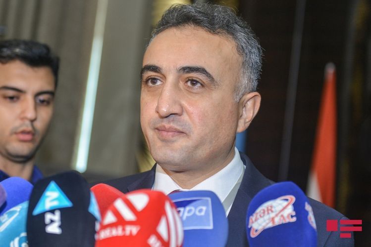 Anar Baghirov: “Embassies of some countries try to interfere to our work”  