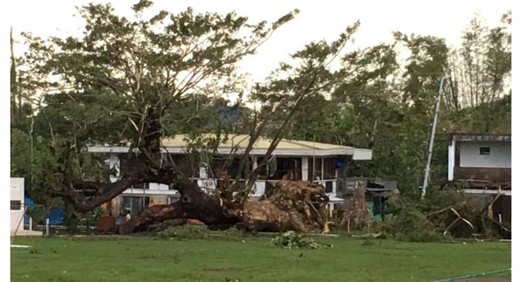 Philippines' typhoon Phanfone death toll reaches 28