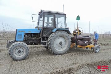 Smart garden being established in Azerbaijan for the first time