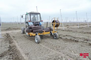 Smart garden being established in Azerbaijan for the first time