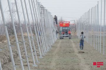 Smart garden being established in Azerbaijan for the first time
