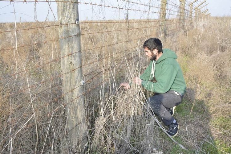 Pakistani and Algerian citizens, violating Azerbaijani state border, detained