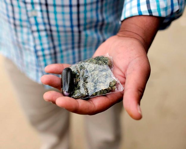 EU drug agency sees rising gang violence amid steady prices
