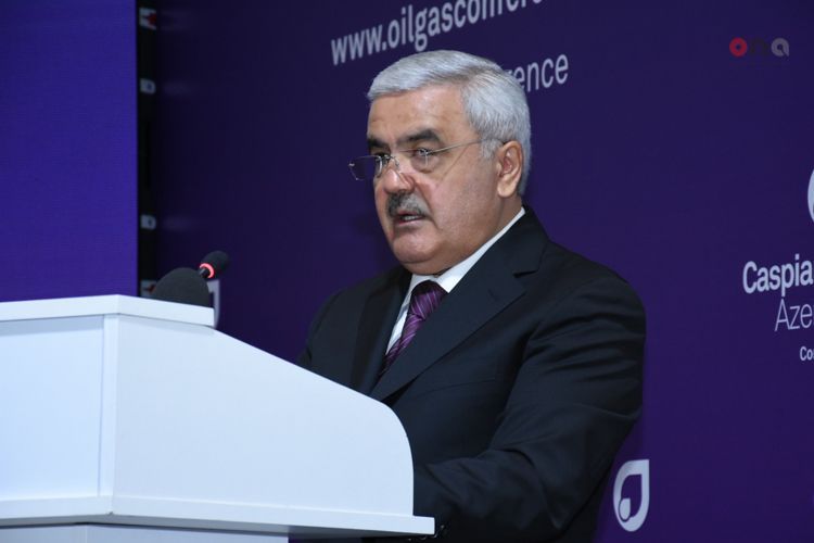 Rovnaq Abdullayev: "Over 2,000 hectares of territory being on SOCAR's balance reclaimed"