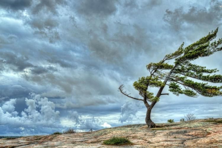 Strong wind to blow in Azerbaijan 