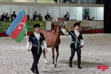 Garabagh horses demonstrated at International Horse Exhibition in Moscow