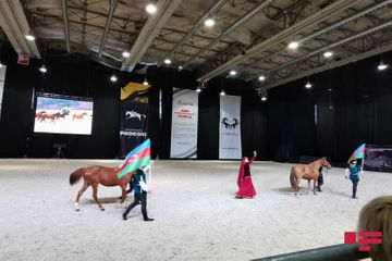 Garabagh horses demonstrated at International Horse Exhibition in Moscow