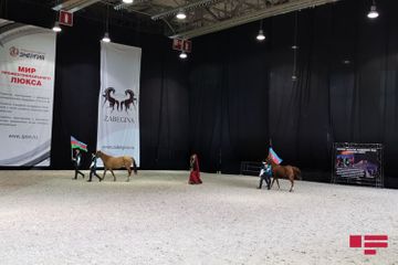 Garabagh horses demonstrated at International Horse Exhibition in Moscow