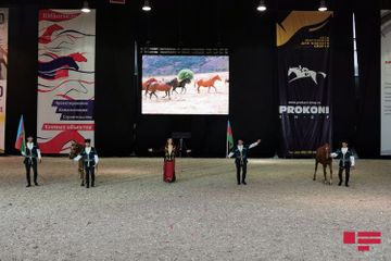 Garabagh horses demonstrated at International Horse Exhibition in Moscow