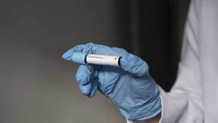Second coronavirus-related death reported in Belarus