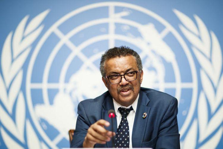 WHO Director-General hails Azerbaijani President's policy to limit impact and scale of COVID-19