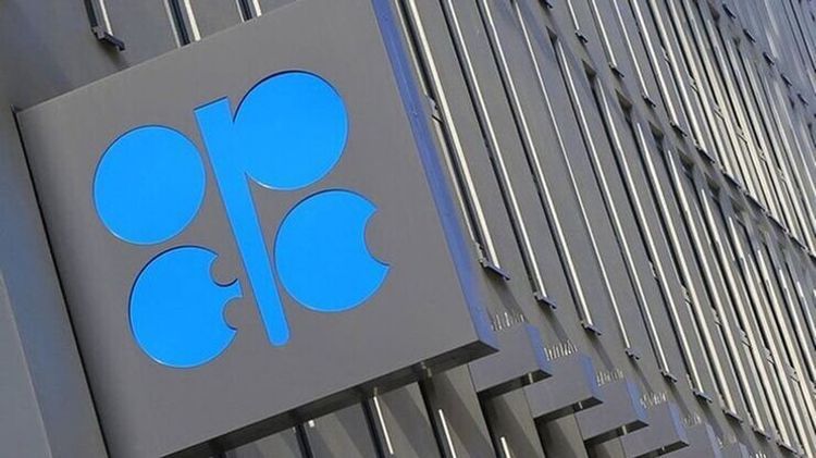 Azerbaijan's Energy Ministry: Ministerial meeting of OPEC and non-OPEC countries to be held on April 9 - UPDATED
