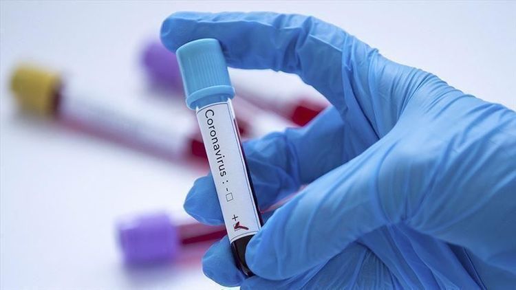 Spanish PM extends state of emergency over coronavirus until 26 April
