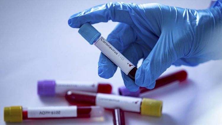 Turkey: Death toll from coronavirus rises to 501