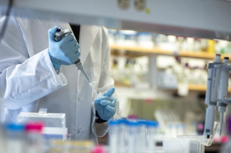 Number of confirmed coronavirus cases in Armenia grew by 52 in a day, reaching 822