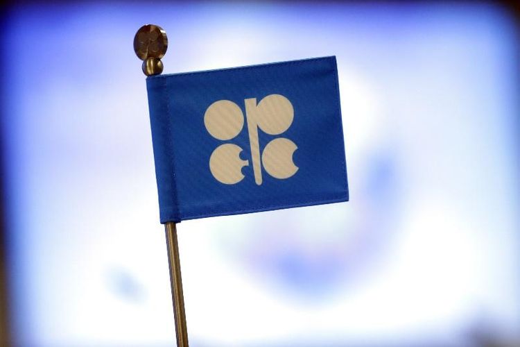 Kazakhstan to attend OPEC+ ministerial meeting  