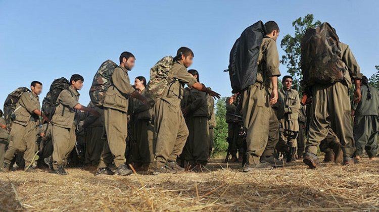 Senior wanted YPG/PKK terrorist caught in E. Turkey - PHOTO
