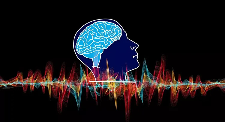 Russian neurophysiologists announce discovery that will help in study of schizophrenia
