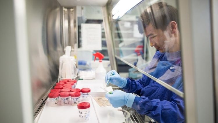 Kyrgyzstan confirms 41 COVID-19 cases more, 339 in total