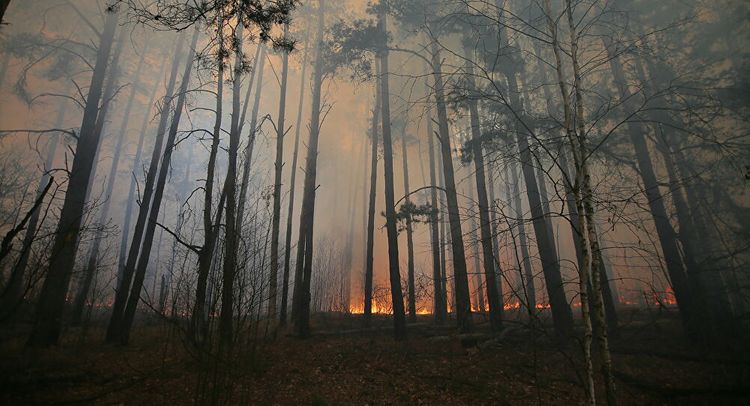 Ukraine's Emergency Service aircraft dropping tons of water on Chernobyl fire