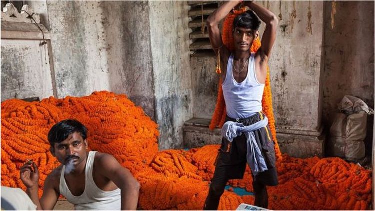 World Bank warns South Asia's economic growth to slump