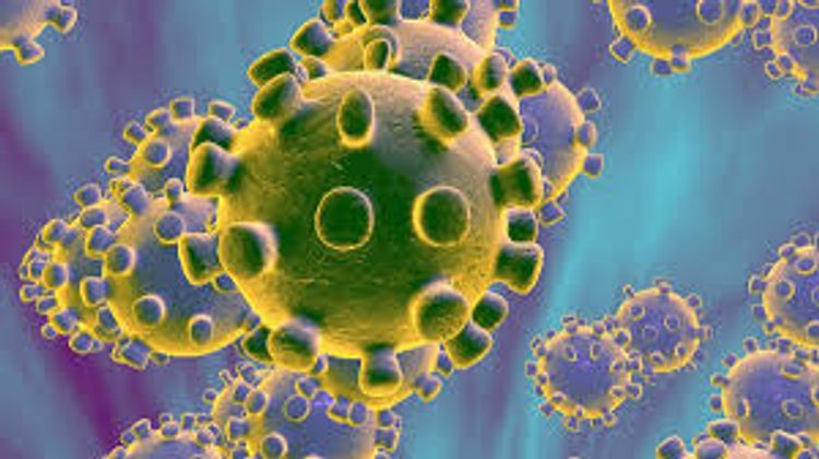Coronavirus cases in Belarus near 3,000
